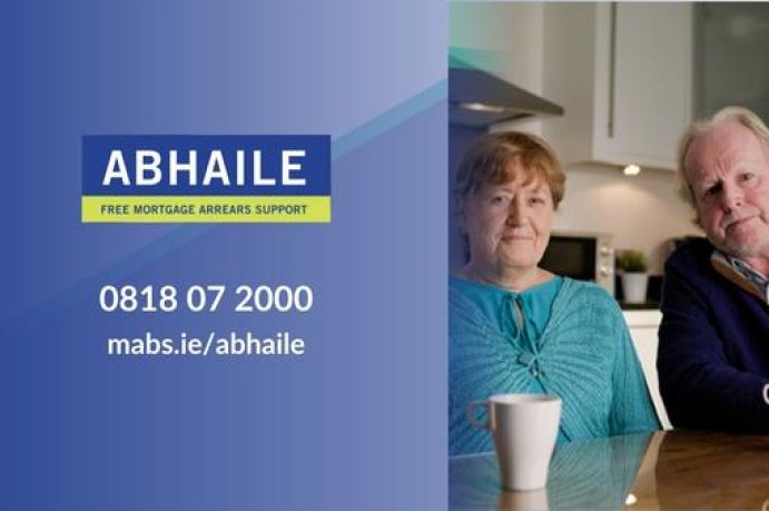 Abhaile Strategic Review – User Survey